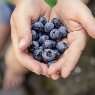 The Healthiest Fruit Snacks are the REAL KIND - skip the gummies which are essentially candy and give your kids whole blueberries for snacking