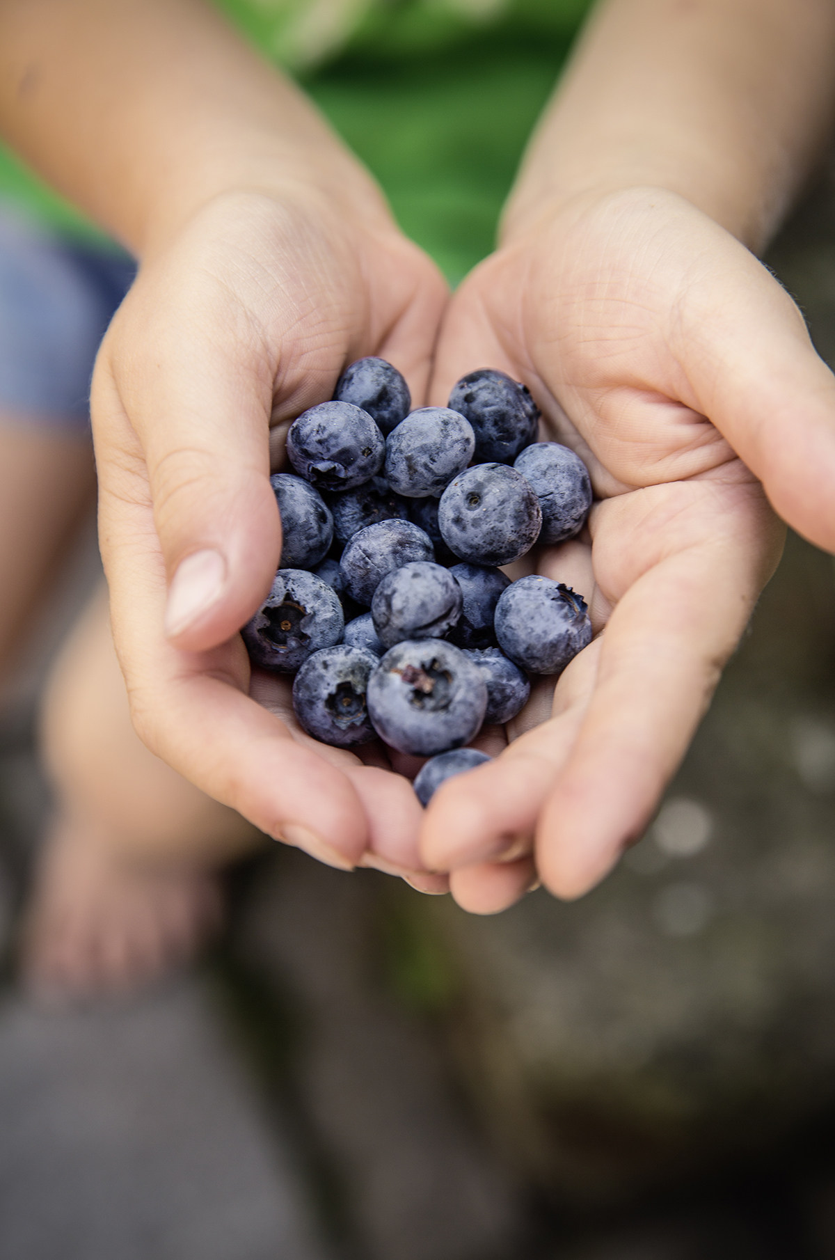 The Healthiest Fruit Snacks are the REAL KIND - skip the gummies which are essentially candy and give your kids whole blueberries for snacking